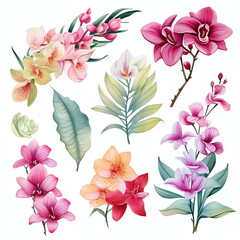 Blumen zum Dekorieren einer Hochzeitskarte mit orchideen und frangipani in verschiedenen Farbtönen, Aquarell Stil, AI generiert