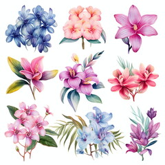 Blumen zum Dekorieren einer Hochzeitskarte mit orchideen und frangipani in verschiedenen Farbtönen, Aquarell Stil, 6, AI generiert
