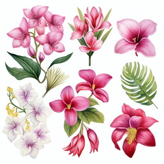 Blumen zum Dekorieren einer Hochzeitskarte mit orchideen und frangipani in verschiedenen Farbtönen, Aquarell Stil, 11, AI generiert