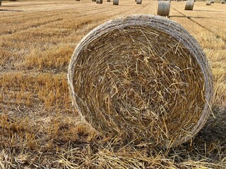 bales of hay