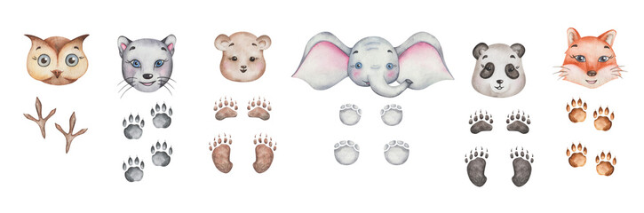 Watercolor animals. Hand painted set of illustrations of owl, panther, teddy bear, elephant, koala, fox. Cartoon animal heads and paws. Animal characters. Isolated clip art for posters, banners