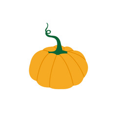 Pumpkin on white background, natural food, icon, illustration