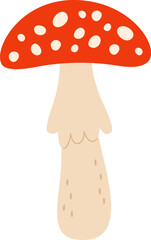 Fly Agaric Mushroom