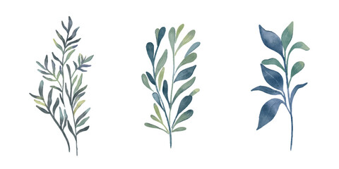 Set of vector watercolour green branches. Seaweed set. Botanical elements for design © ValeriBaikachova