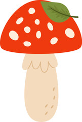 Fly Agaric Mushroom