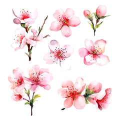 Fototapeta na wymiar vector set of cherry blossom flowers, pink sakura flower and leaves