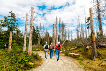 Drei Senioren wander durch Nationalpark, Eifel