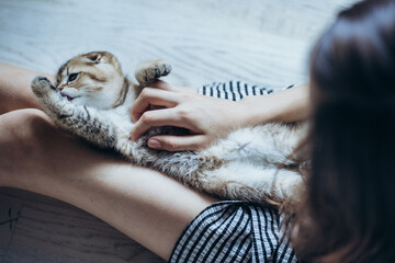 The cat is eating. A bowl of food for a small kitten.