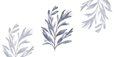 Fototapeta na wymiar Watercolour botanical. Blue watercolour branch isolated