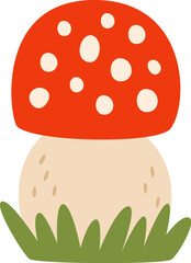 Fly Agaric Mushroom