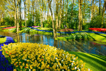 Close-up view of yellow tulips followed by the canal and a forest decorated with different types of...
