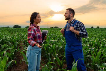 Young agronomy interns discussing the sugar corn field, diligently recording observations using...