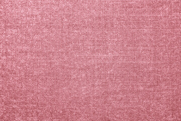 Fototapeta premium pink texture background