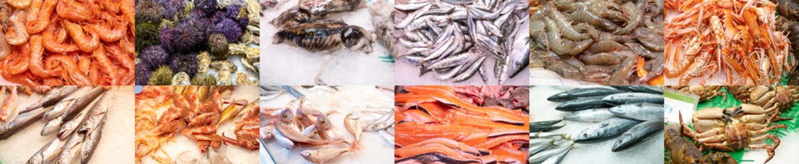 Collage of different types of sea finsh food. Banner size.