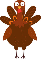 Turkey Bird Standing