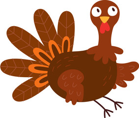 Funny Turkey Bird