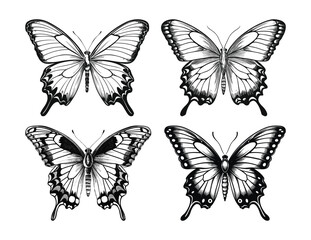 Obraz na płótnie Canvas Hand drawn butterfly vector pack