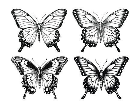 Hand drawn butterfly vector pack