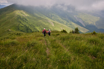 Back view of group tourists in mountains. Hiking with the group. Active lifestyle, sport and tourism. 