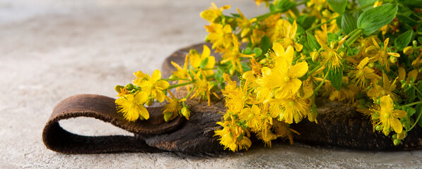 St. John's wort on a wooden board