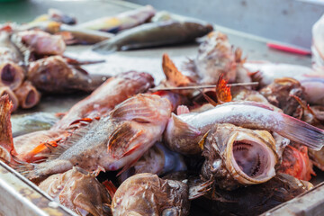 Stall with fishes on fish market in Trapani, Sicily