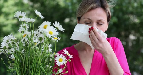 Allergic woman blows nose after being near allergenic flowers. Lady with bouquet of chamomiles suffers from sneezing and irritation. Allergy in spring