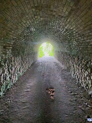 tunnel on the great flat lode mining trail