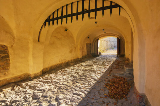 medieval entrance with gates. architectural background
