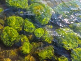 mossy stone near water edge of lake in sunlight. Sunny vivid scenery.