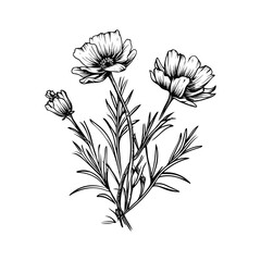 Hand drawn wild flower vector

