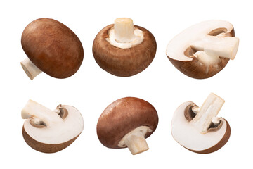 Portobello mushrooms (Agaricus bisporus fruit bodies), whole and halved, isolated png