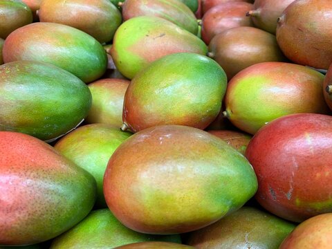 Fresh colorful tropical mangoes on display at outdoor farmers market