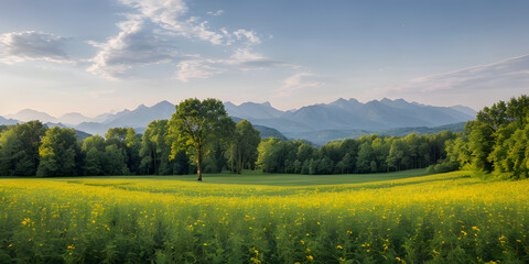 Panoramic beautiful summer nature with assortment colorful flowers and green meadows view