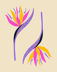 Exotic strelitzia flower is trippy in color. Tropical flower from the jungle. Vector element for poster, background, stickers.