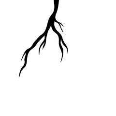 Black Roots Silhouette