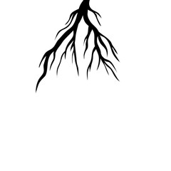 Black Roots Silhouette