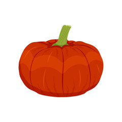Orange pumpkin autumn vegetable, Pumpkin harvest on a white background. Vector illustration.