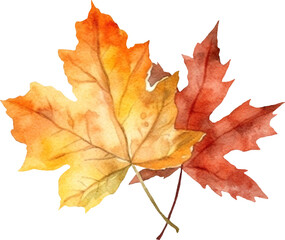 Naklejka na ściany i meble Fall maple leaf watercolour illustration created with Generative AI technology