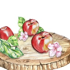 watercolor set. a red, juicy, ripe apple. for the design of postcards, packages
