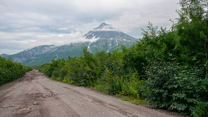 Kamchatka, road through forest with green trees and mountains