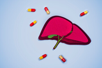 Human Liver organ and pills on blue background. World hepatitis day. National liver awareness...