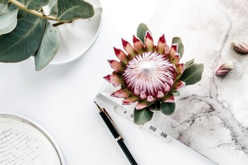 On a white background, a blogger's or freelancer's workstation features a protea flower, a notebook, and feminine accessories. Top view of a home office desk with minimal dcor. a beauty blog idea