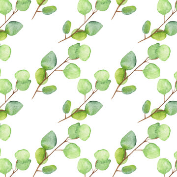 Seamless pattern green leaves trees and branches, foliage of natural branches, green leaves, herbs, tropical plants hand drawn watercolor on white background. © Makarova Art