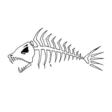 Fish skeleton sketch vector illustration