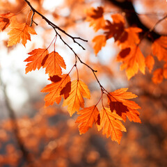 Obraz premium Red and orange autumn leaves background. Outdoor. Colorful backround image of fallen autumn leaves perfect for seasonal use. Generative AI technology