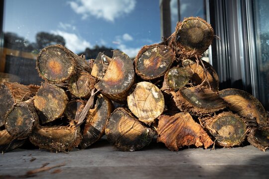 Stack Of Firewood At A Campsite In The Bush