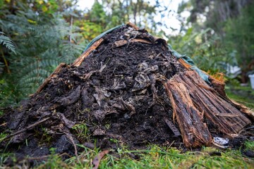 soil fungi storing carbon through carbon sequestration on a farm, receiving carbon credits
