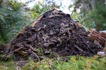 soil fungi storing carbon through carbon sequestration on a farm, receiving carbon credits