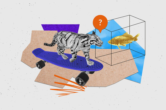 Composite collage picture image of animal zoo cat leopard ride skating skateboard fishing nature golden fish weird freak bizarre unusual
