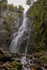 Fototapeta na wymiar Waterfall in the forest, Burgbach waterfall near Schapbach, Black Forest, Baden-Wurttemberg, Germany